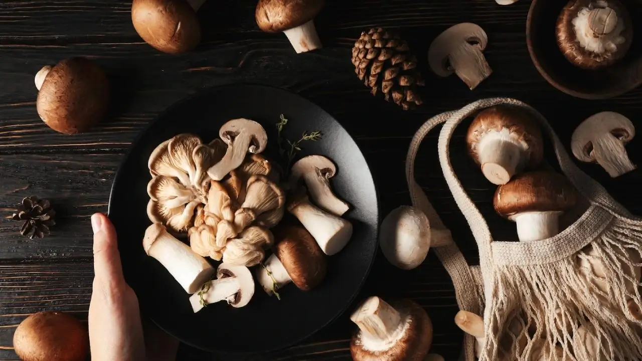 El inicio de un negocio